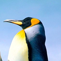 nftzoneparty's profile picture. 