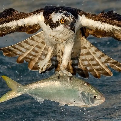 RiverRunt9898's profile picture. Liker of all things cool.