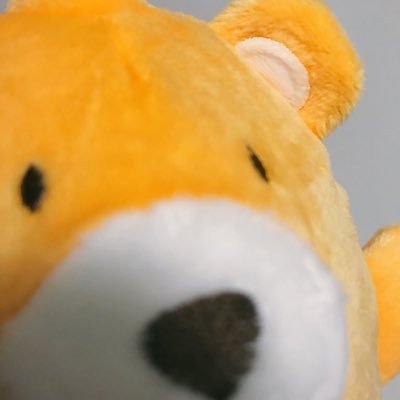 元四烊里さんのプロフィール画像
