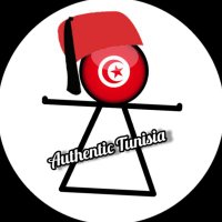 authentic tunisia(@authentictunisi) 's Twitter Profile Photo