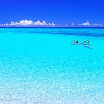 WViOYGjh1jw5J's profile picture. 