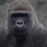 vFKDKo8bdl8TFb3's profile picture. 相互用
フォロワー増やしにどうぞ
#相互フォロー #相互 #相互フォロー100