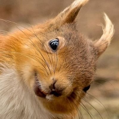 TerryJany's profile picture. https://t.co/nE4YTw9tcV тут про книжки і вся таке