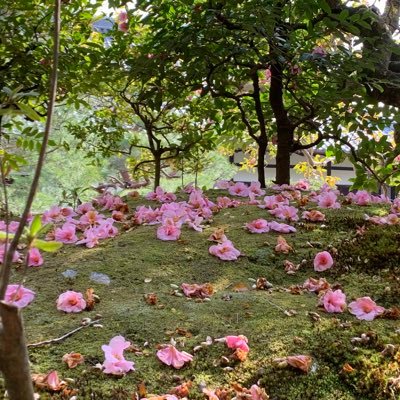 octakotako's profile picture. 大学生/21歳 Mです