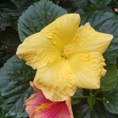 vuUTlM2TRMIiuXj's profile picture. 