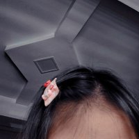 Pearl (@pearl32889831) 's Twitter Profile