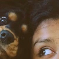 Iris 🦆 (@iristheescholar) 's Twitter Profile