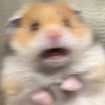 25+ | 🔞currently genshin-centric, with a dash of everything | INA/ENG/日本語少しOK | RT heavy