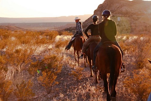 LajitasStables's profile picture. Guided Horseback Trail Rides in the Big Bend Nat'l Park, Ranch State Park and New Mexico for more than 25 years!