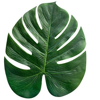 rozzz5's profile picture. 