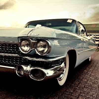 learngreen946's profile picture. consistent learner