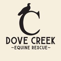 Dove Creek Equine Rescue(@dovecreekranch) 's Twitter Profile Photo