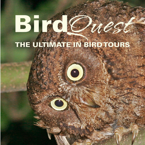 We are a specialist birding tour operator worldwide offering the best in small-group birding holidays ‘The Ultimate in Birding Tours’.