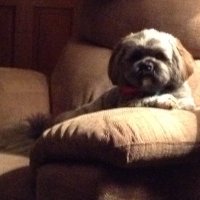 nick stevens (@shiftingsands) 's Twitter Profile