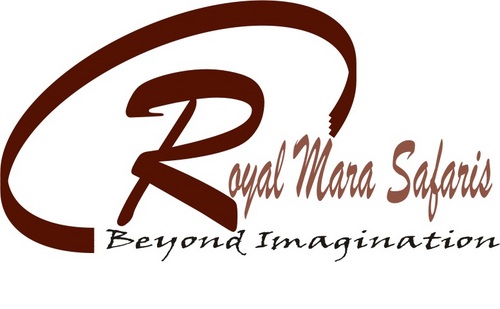 royalmarasafari's profile picture. Royal Mara Safaris are experts in Africa Travel, we offer Africa Wildlife Safaris, Adventure Travel, Sports Travel, Family Travel,Beach Holidays,,,,,,,,