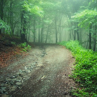 CunatYuri's profile picture. I love the world of cryptocurrency and other things.