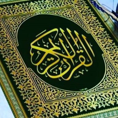 is5aj7sUO36Vs8l's profile picture. 