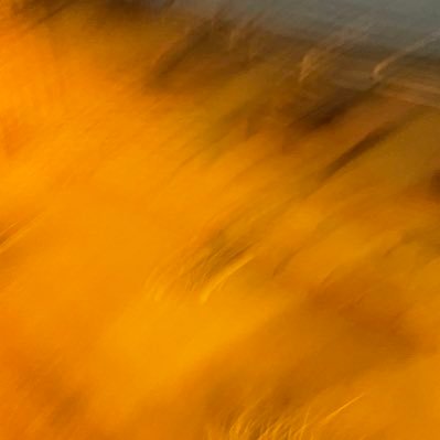 Viejachota666's profile picture. Me gustan las chicas, me gustan las dr0g4s