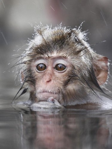 acheeseman16's profile picture. The 3 dimensionality of existence is either artificial or natural. Either way, I can't tell the difference.