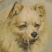 David Reamer (@anc_historian) 's Twitter Profile