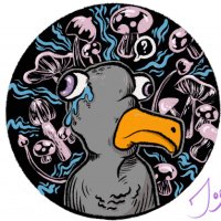 Kite (@therealhomie13) 's Twitter Profile