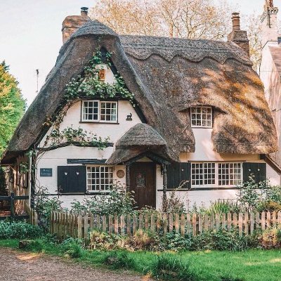 UnePooki's profile picture. 