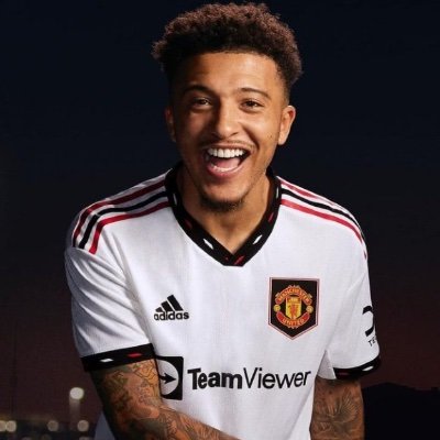 FPL and MUFC 🔴
Sancho and Rashford ⭐
Delusional tweeter during match days 😭