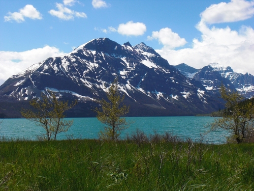 trombogenic's profile picture. onwards and upwards