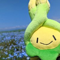 よんみぃ@ぬい撮り (@yonmy_nui) 's Twitter Profile Photo よんみぃ@ぬい撮り (@yonmy_nui) 's Twitter Profile Photo