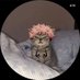 Vitoria (@lllllllosghy) Twitter profile photo Vitoria (@lllllllosghy) Twitter profile photo