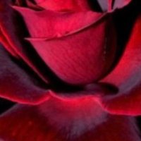 Tynesha Stewart (@naturalbeauty57) 's Twitter Profile