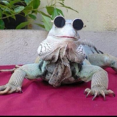 zo_mama69's profile picture. i'm not here u don't see me