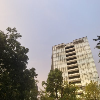 whitepoplar's profile picture. 随心