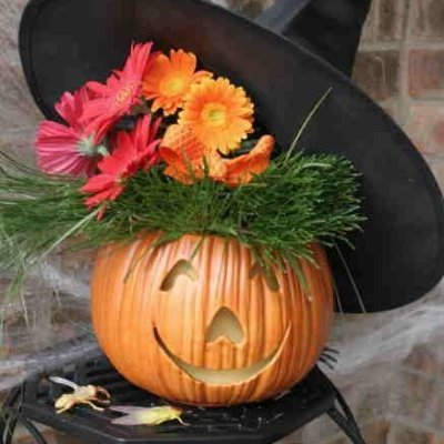 Willbeokok's profile picture. 