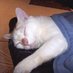 EdFatherOfCats (@edfatherofcats) Twitter profile photo EdFatherOfCats (@edfatherofcats) Twitter profile photo