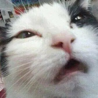 lootydannn's profile picture. 