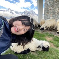 Shuyu Huang (@shuyuhuang_) 's Twitter Profile