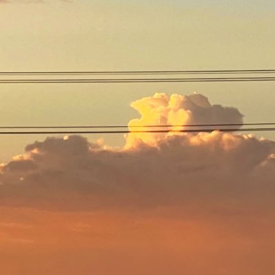 Damien_Enrey104's profile picture. are biker boys not hot?