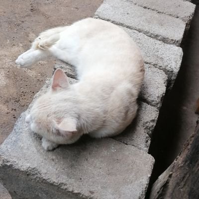 Yahir18656253's profile picture. la vie, beaucoup l'ont mais peu en profitent, beaucoup pensent qu'avec l'argent ils ont déjà la vie assurée mais où est le bonheur, où est ce qui nous rend huma