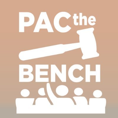 PACtheBench is a new kind of political action committee. Our mission is to build power to restore our fundamental rights and strengthen our democracy.