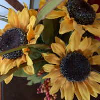 sistersunny (@virginiakyle10) 's Twitter Profile