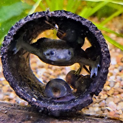 interim_account's profile picture. "Political correctness is communist propaganda, writ small."