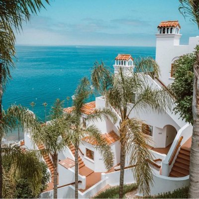 Yang94784769's profile picture. Thank you for your attention and support