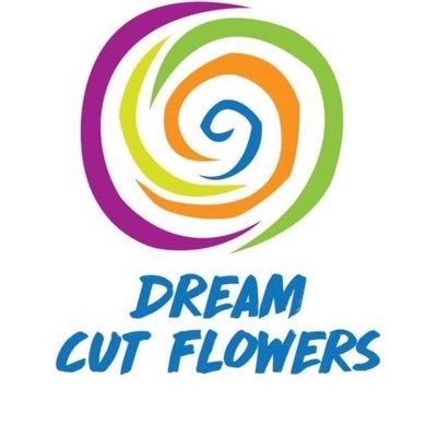 Dream Cut Flowers Profile