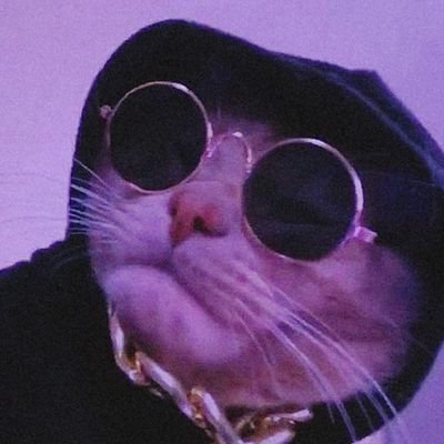 AeosTrainer9's profile picture. stan accnt x academic chitchat