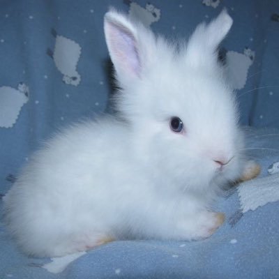 LoOk_My_Jeans's profile picture. #NewJeans #해린