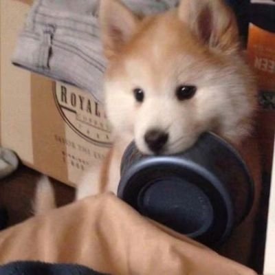 imesfp's profile picture. 炫烦