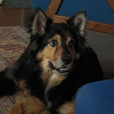 makeitwain3000's profile picture. hullo