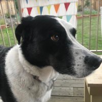 Mark (@mark_watton) 's Twitter Profile