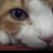 MrsSming's profile image